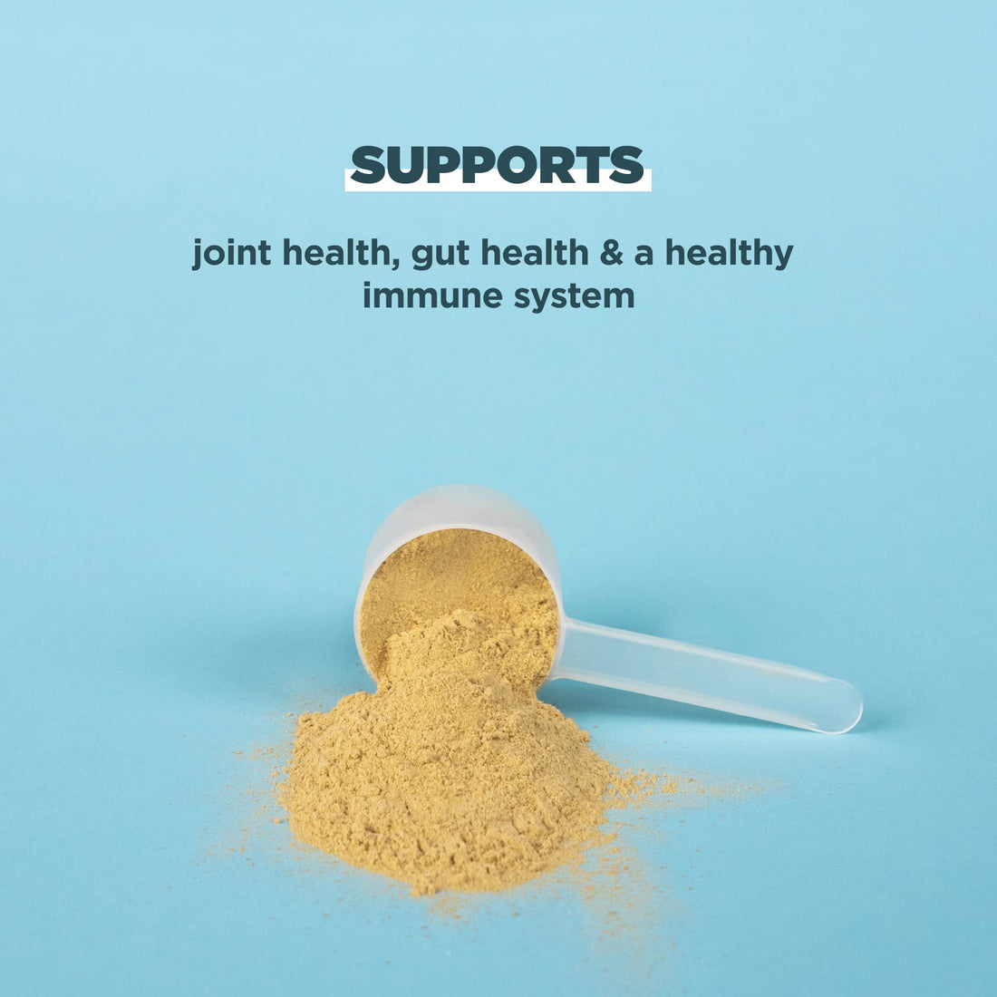 Ancient Nutrition Bone Broth Protein Powder, Pure Flavor, 20 Servings Size