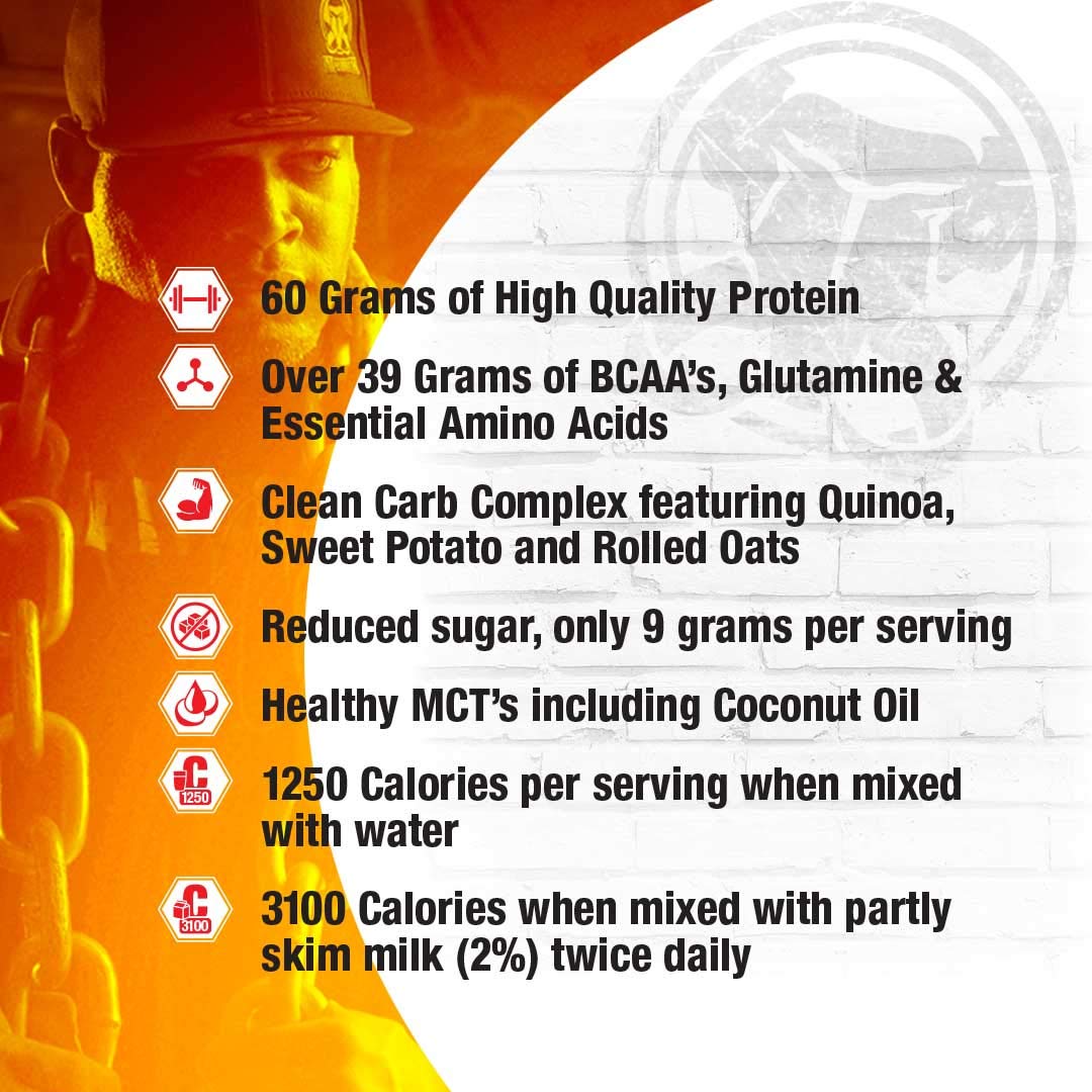 Inter-Active Nutrition Mammoth Mass Supplement, 2.27kg Strawberry Mammoth