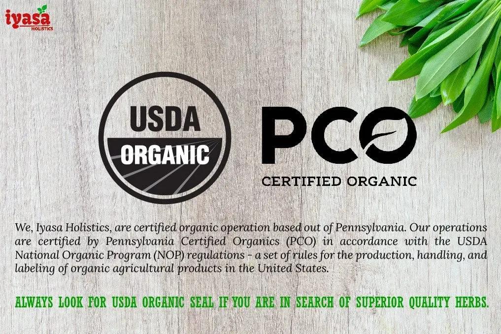 Iyasa Organic Beet Root Powder, Plant Based, Vegan, Gluten-Free, Beetroot Superfood, Nitric Oxide Boost, Blood Circulation Support, Pre Post Workout, Baking and Cooking 8 oz 223 gm