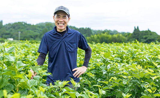 Delish Organics Natural carbohydrates Blocker Mulberry Leaf 60 sachets - Made in Japan