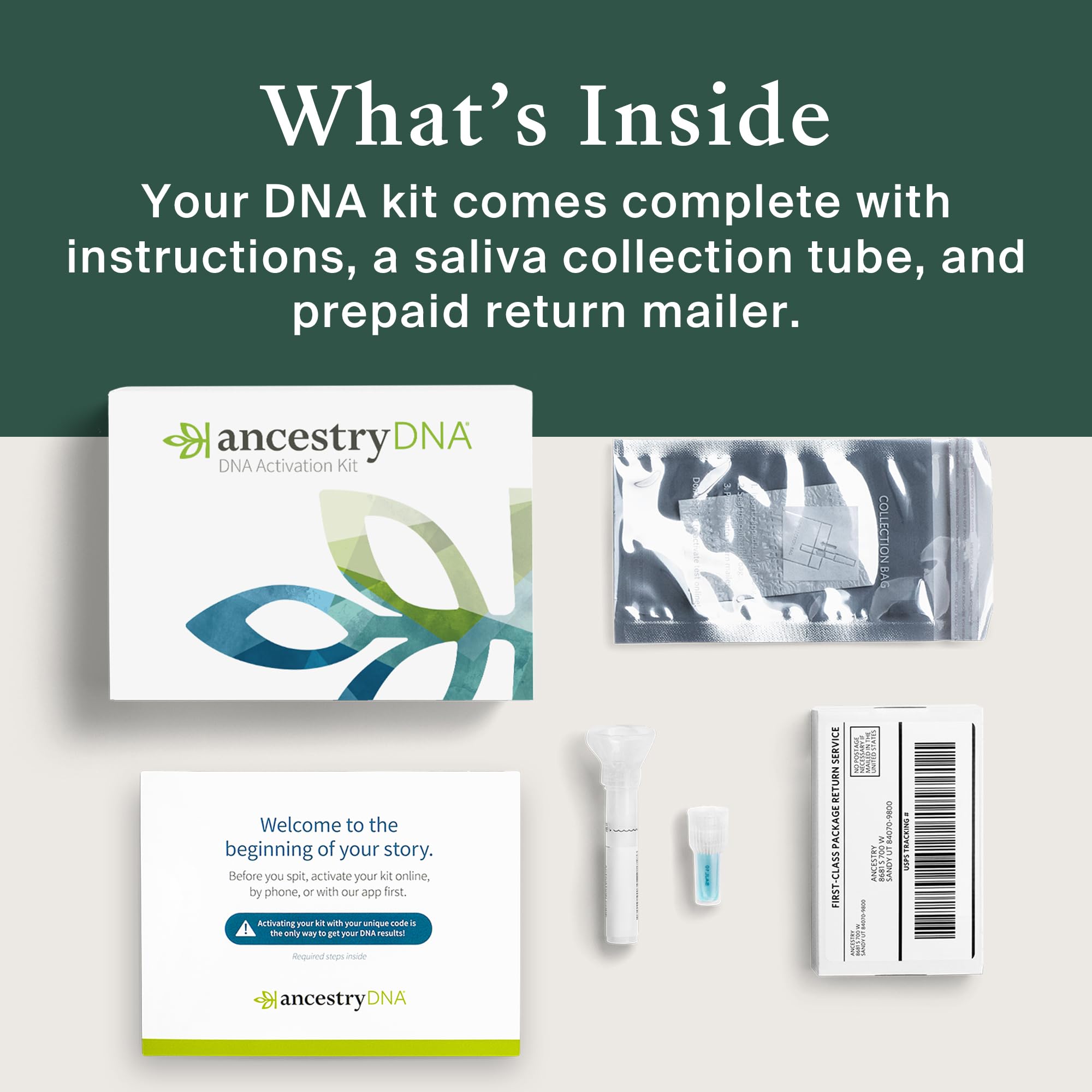 AncestryDNA Genetic Test Kit: Personalized Genetic Results, DNA Ethnicity Test, Origins AncestryDNA