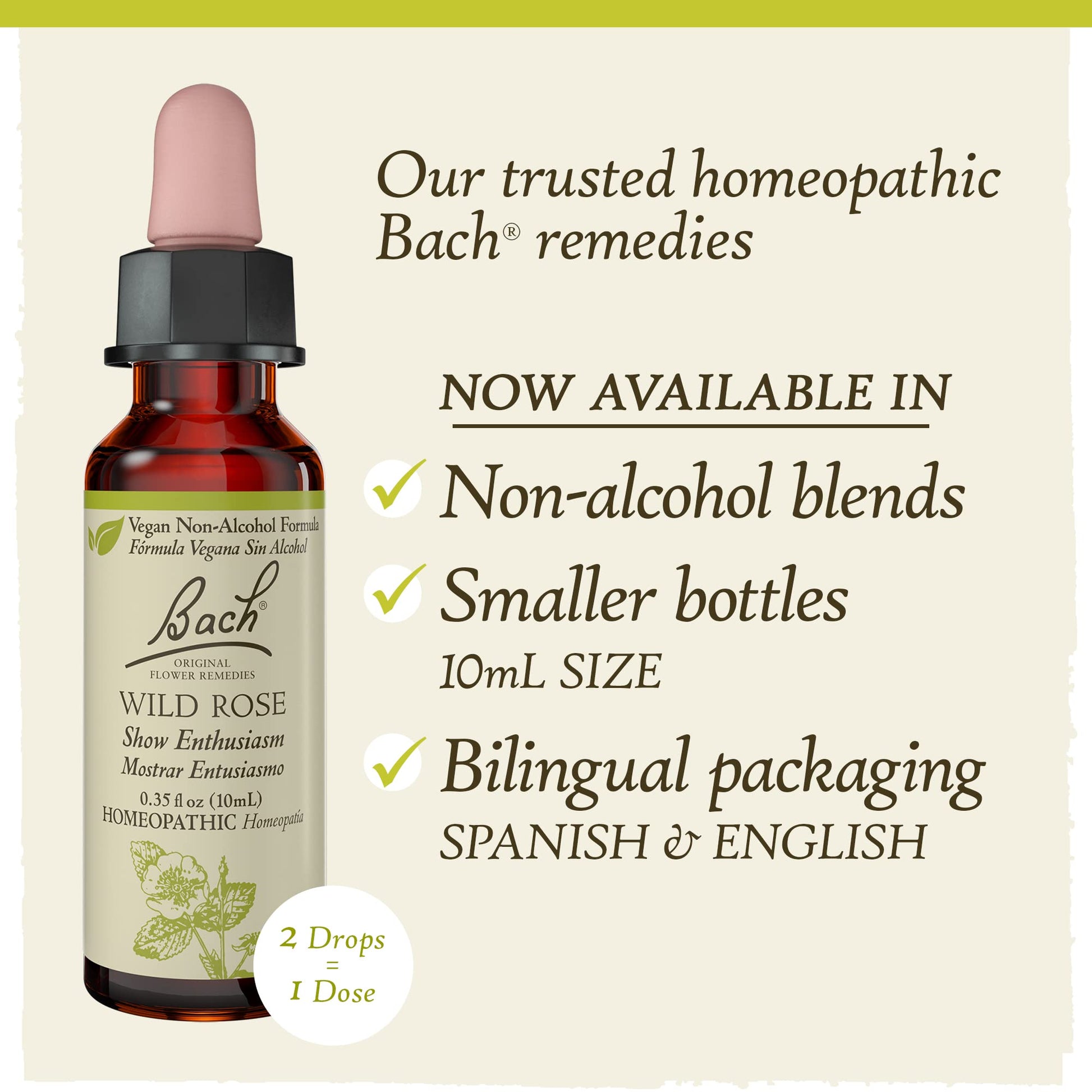 Bach Original Flower Remedies, Wild Rose for Enthusiasm (Non-Alcohol Formula), Natural Homeopathic Bach