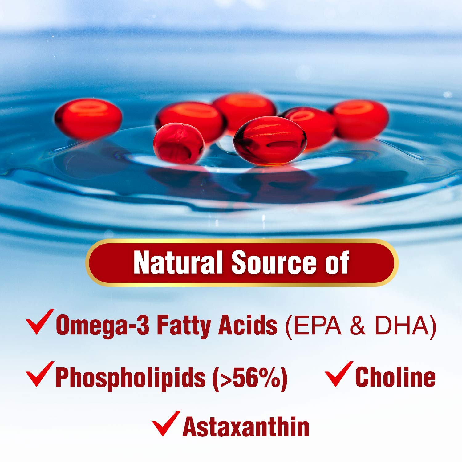 LABO Nutrition Perfect Krill EX, The Purest Ultra Strength Antarctic Krill Oil, Highest Phosph LABO Nutrition