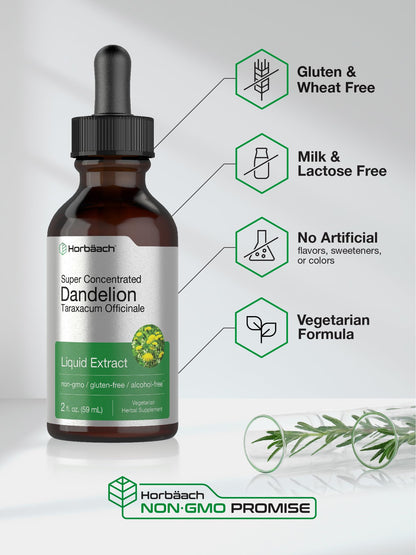Dandelion Root Extract | 2 fl oz | Super Concentrated | Alcohol Free Liquid Tincture Horbäach