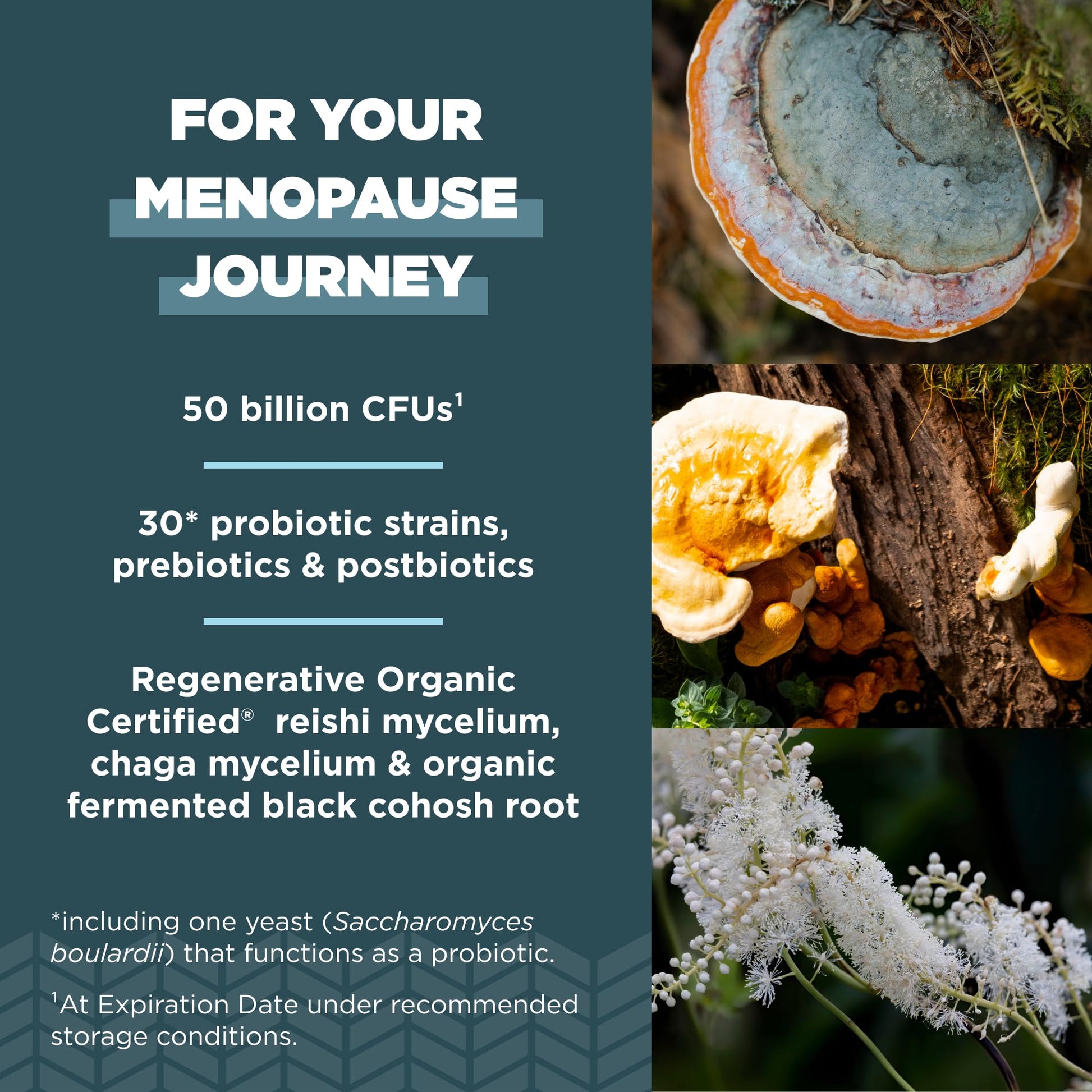 Ancient Nutrition Regenerative Organic Certified Probiotics for Menopause Support Ancient Nutrition
