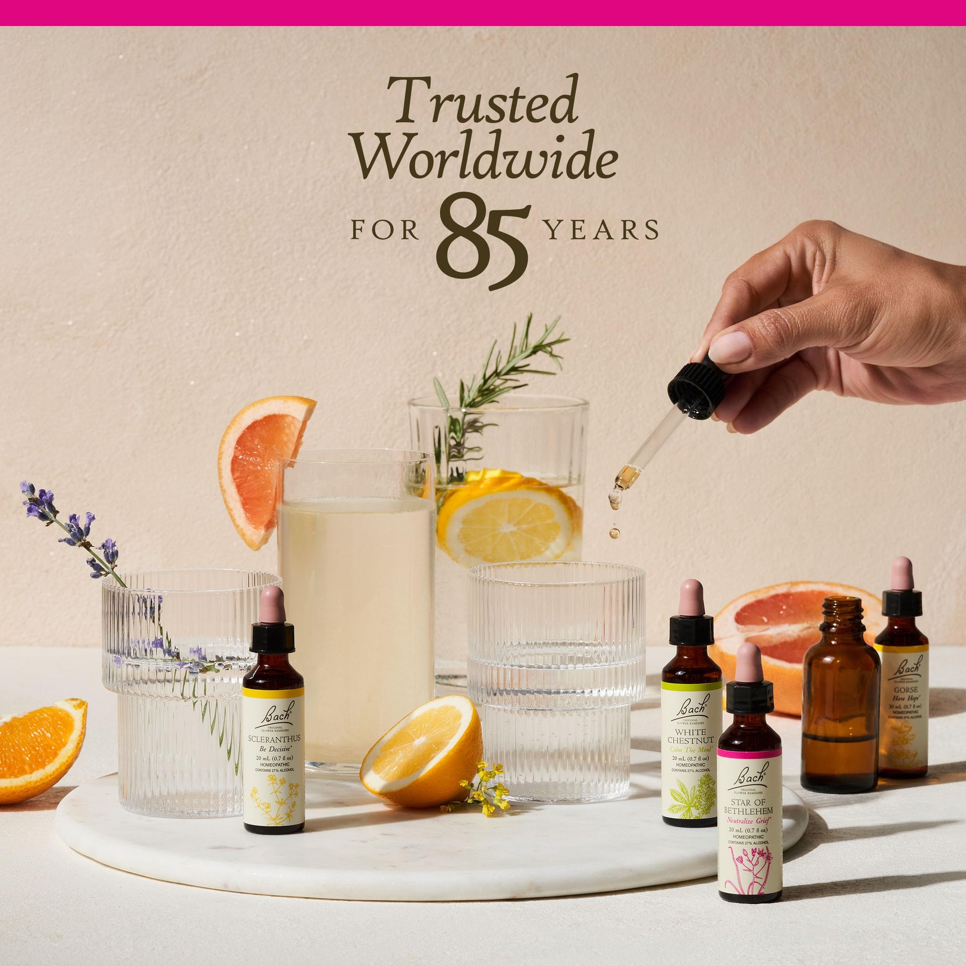 Bach Original Flower Remedies, Pine for Self Respect, Natural Homeopathic Flower Essence Bach