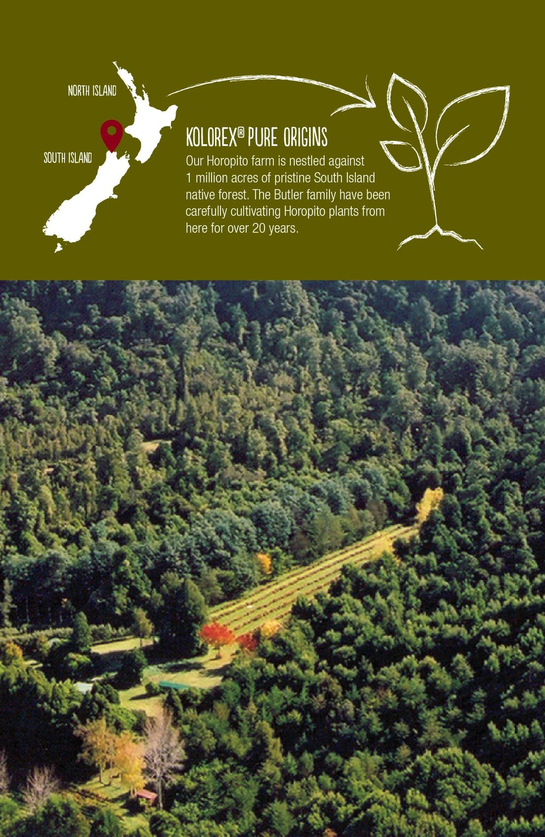 Kolorex Gut Care Candida Balance (Advanced Candida Care) 60ct