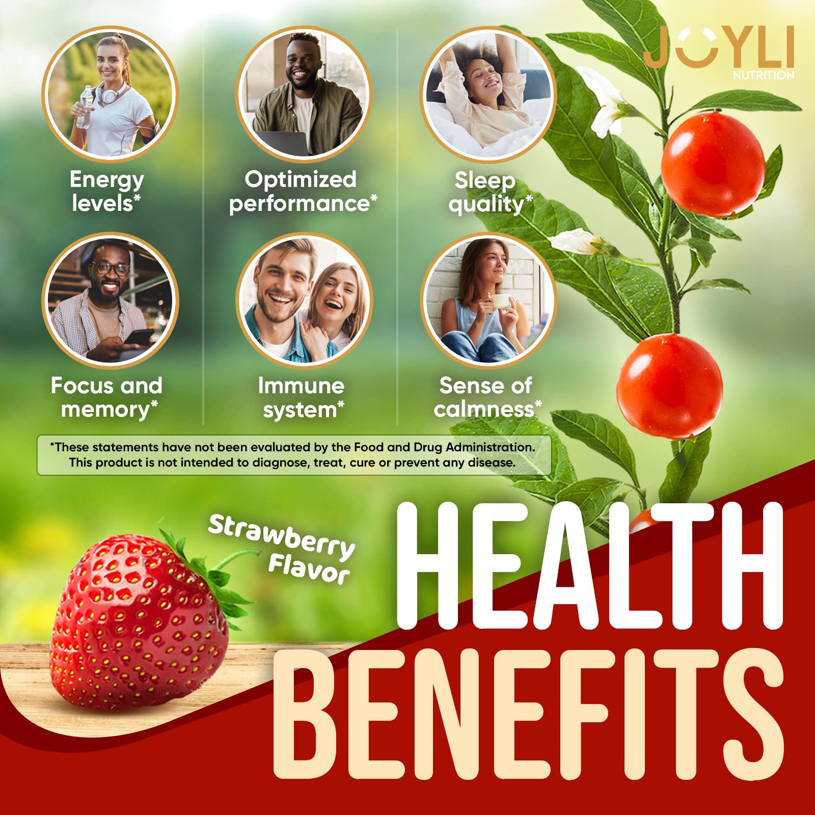 Ashwagandha Gummies for Women & Men - Natural Calm Gummies with Ashwagandha JOYLI Nutrition