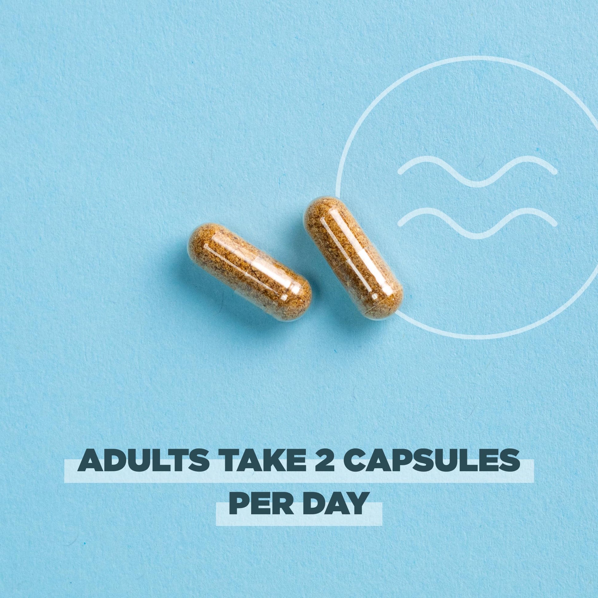 Ancient Nutrition Regenerative Organic Certified Probiotics for Menopause Support Ancient Nutrition