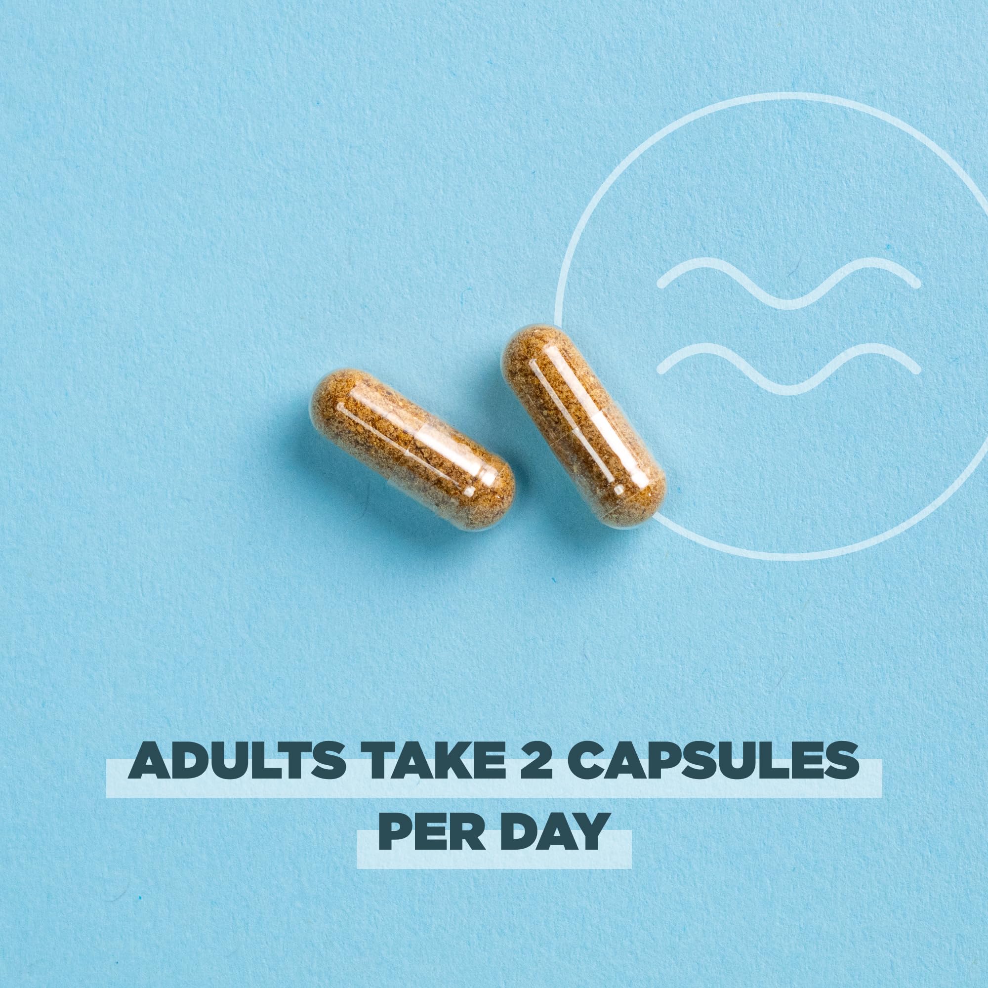 Ancient Nutrition Regenerative Organic Certified Probiotics for Menopause Support Ancient Nutrition