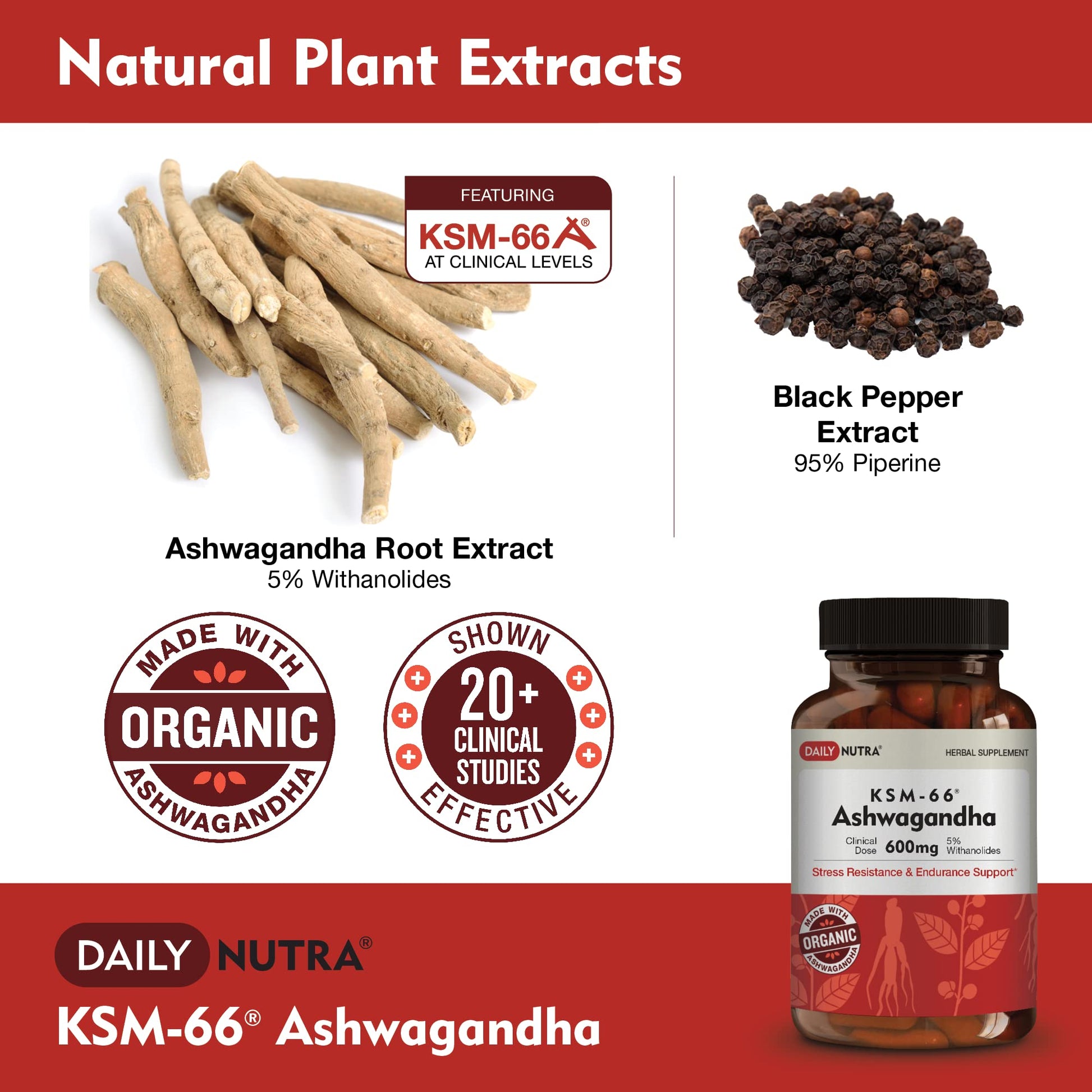 DailyNutra KSM-66 Ashwagandha 600mg Organic Root Extract - High Potency Supplement DailyNutra