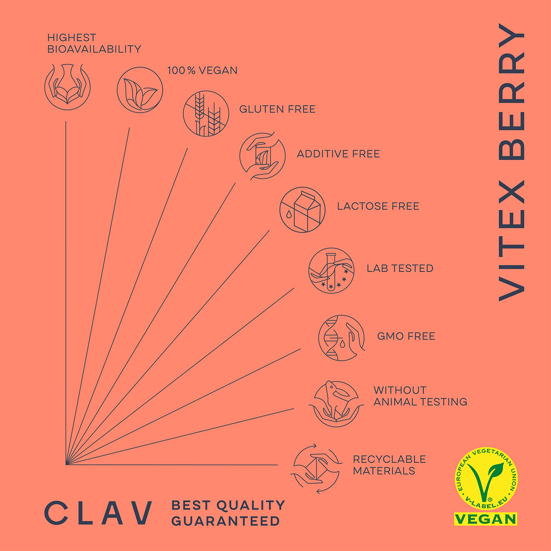 Vitex Berry - Premium Chasteberry 4:1 Extract (Vitex Agnus Castus) - Menopause & PMS Support