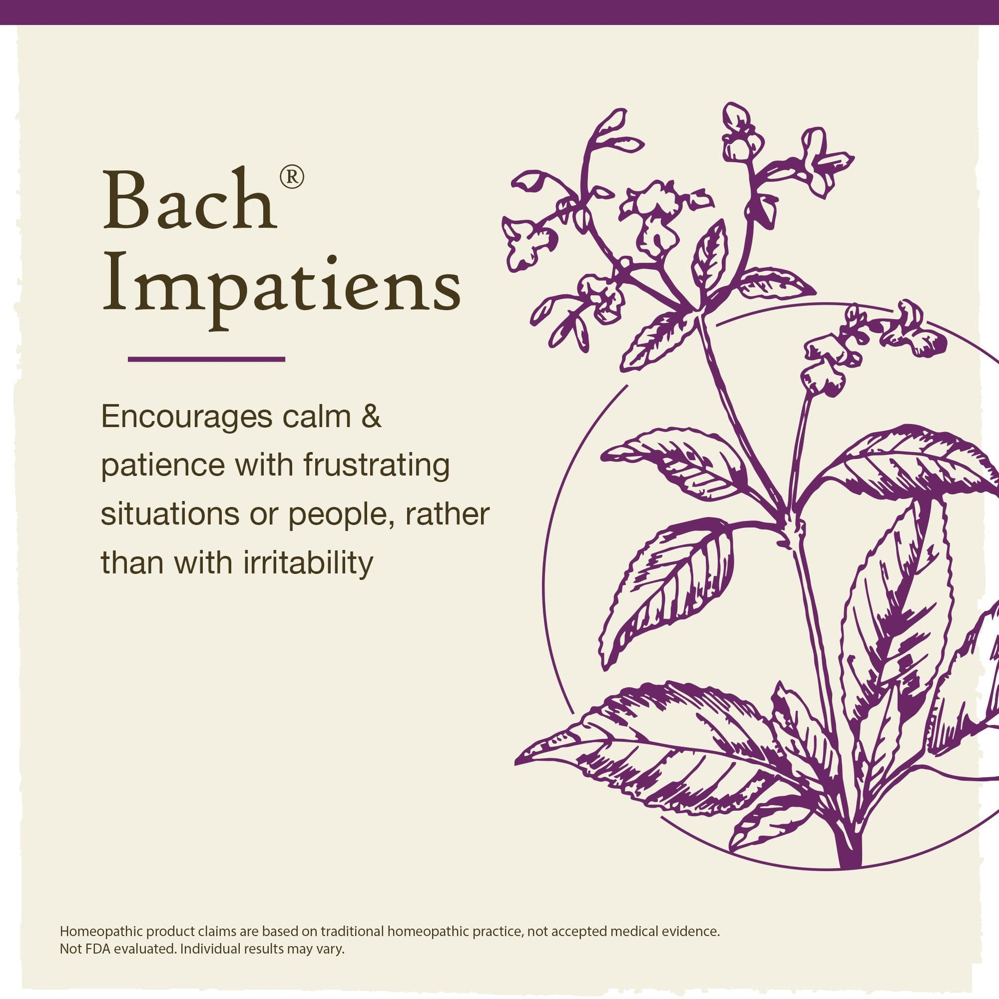 Bach Original Flower Remedies, Impatiens for Patience (Non-Alcohol Formula), Natural Homeopathic Bach