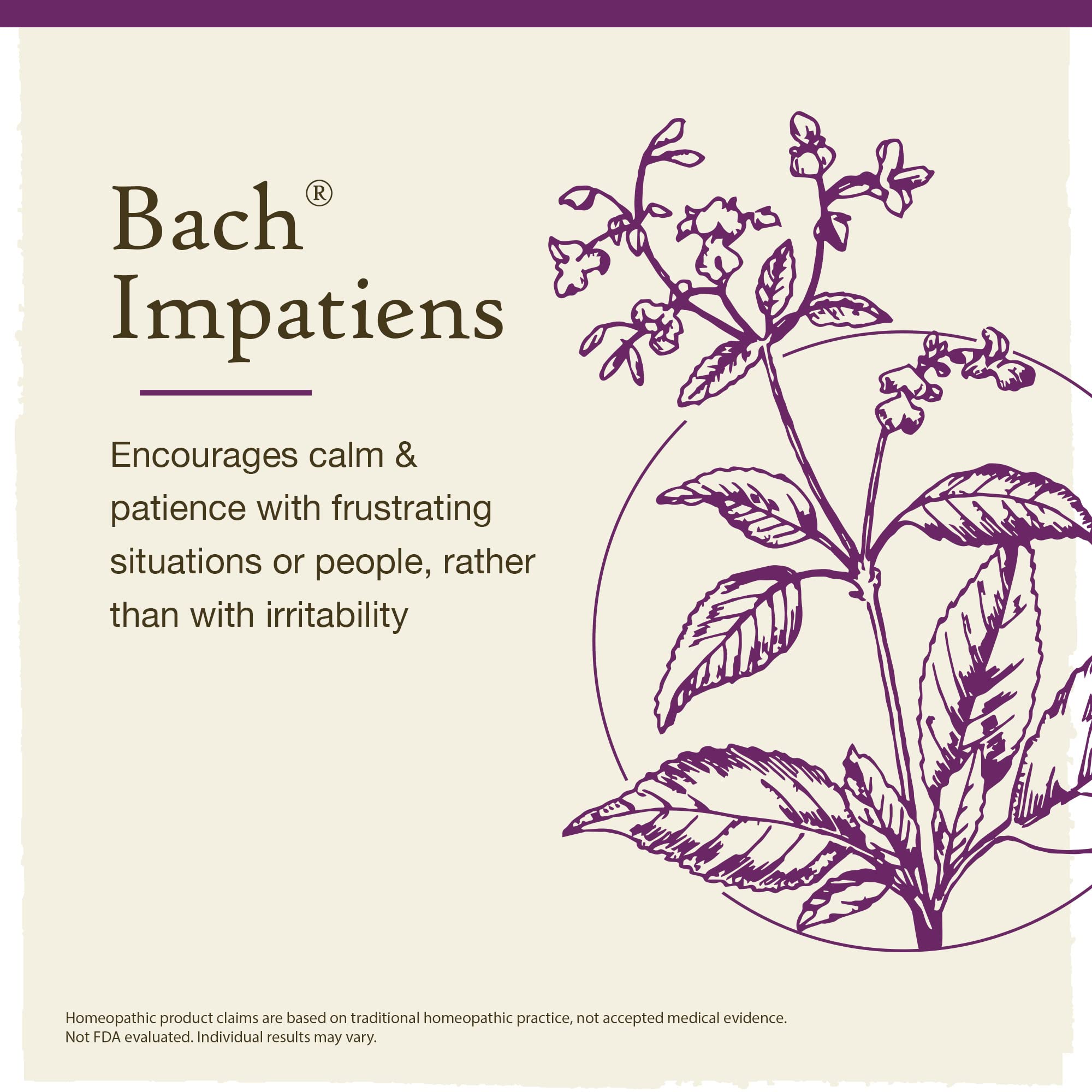 Bach Original Flower Remedies, Impatiens for Patience (Non-Alcohol Formula), Natural Homeopathic Bach