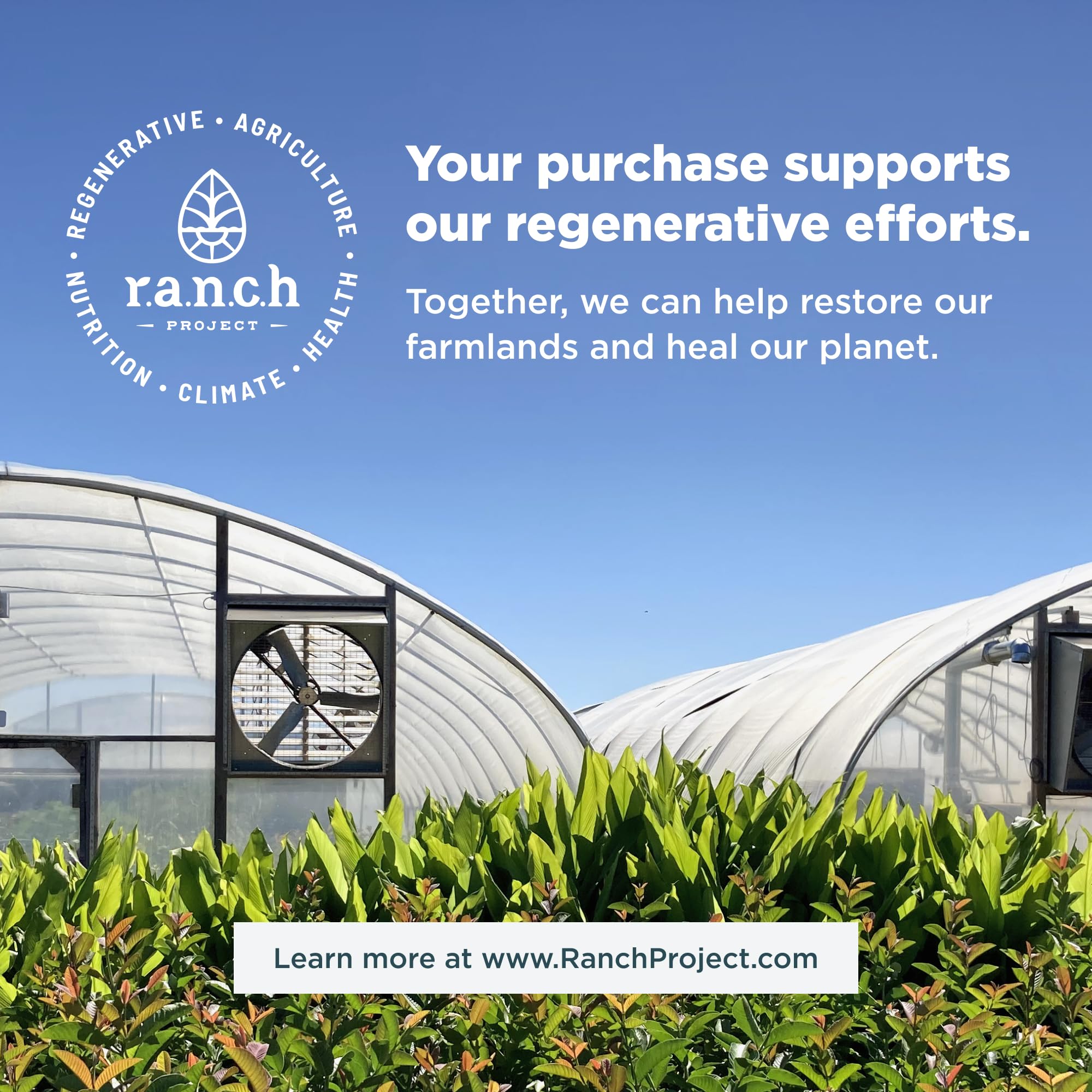 Ancient Nutrition Bone Broth Protein Powder, Tomato Basil, Grass-Fed Chicken and Beef Ancient Nutrition