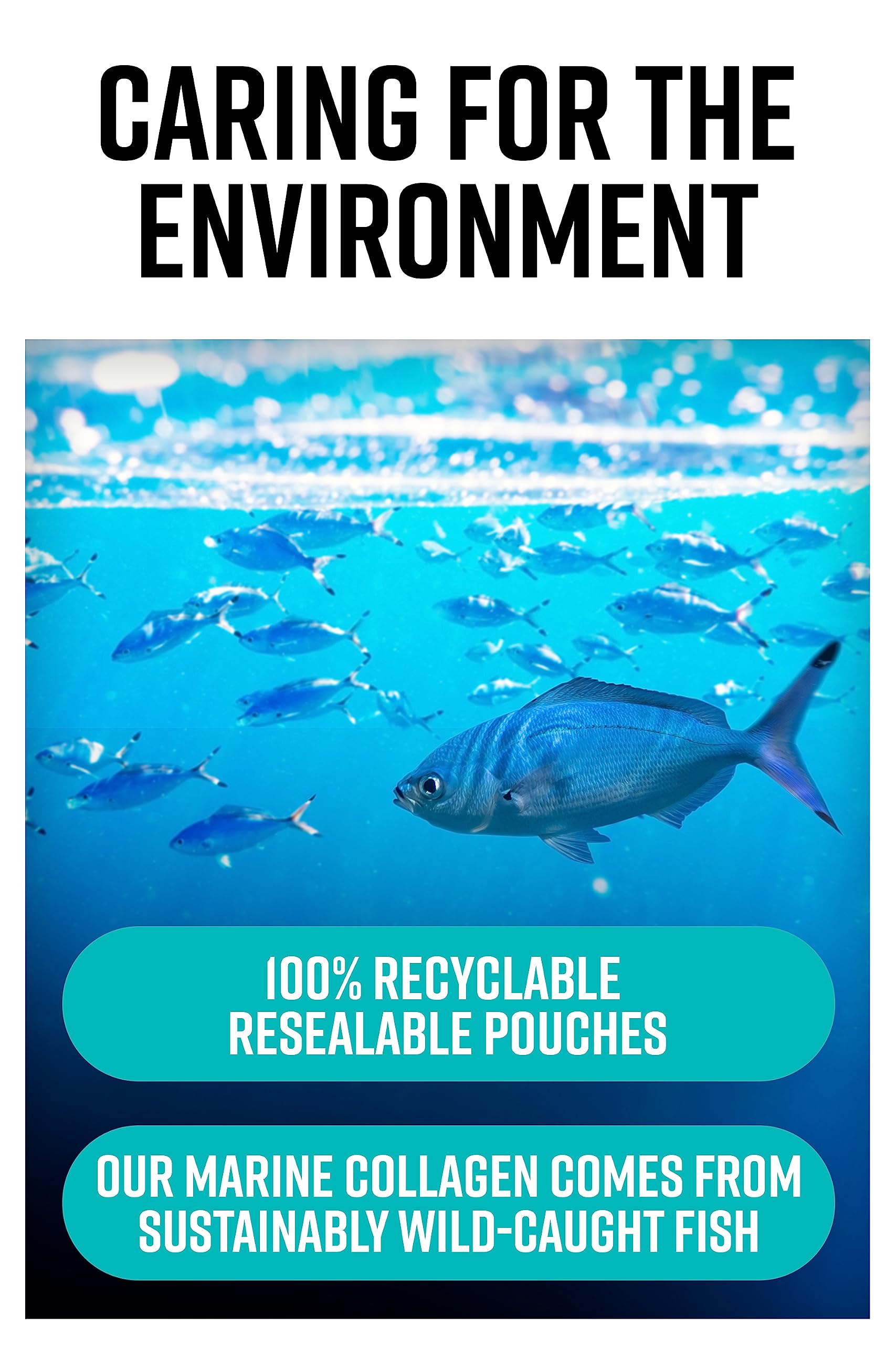 Hunter & Gather Collagen Powder Bundle | Hydrolysed Grass-Fed Bovine Collagen Hunter & Gather