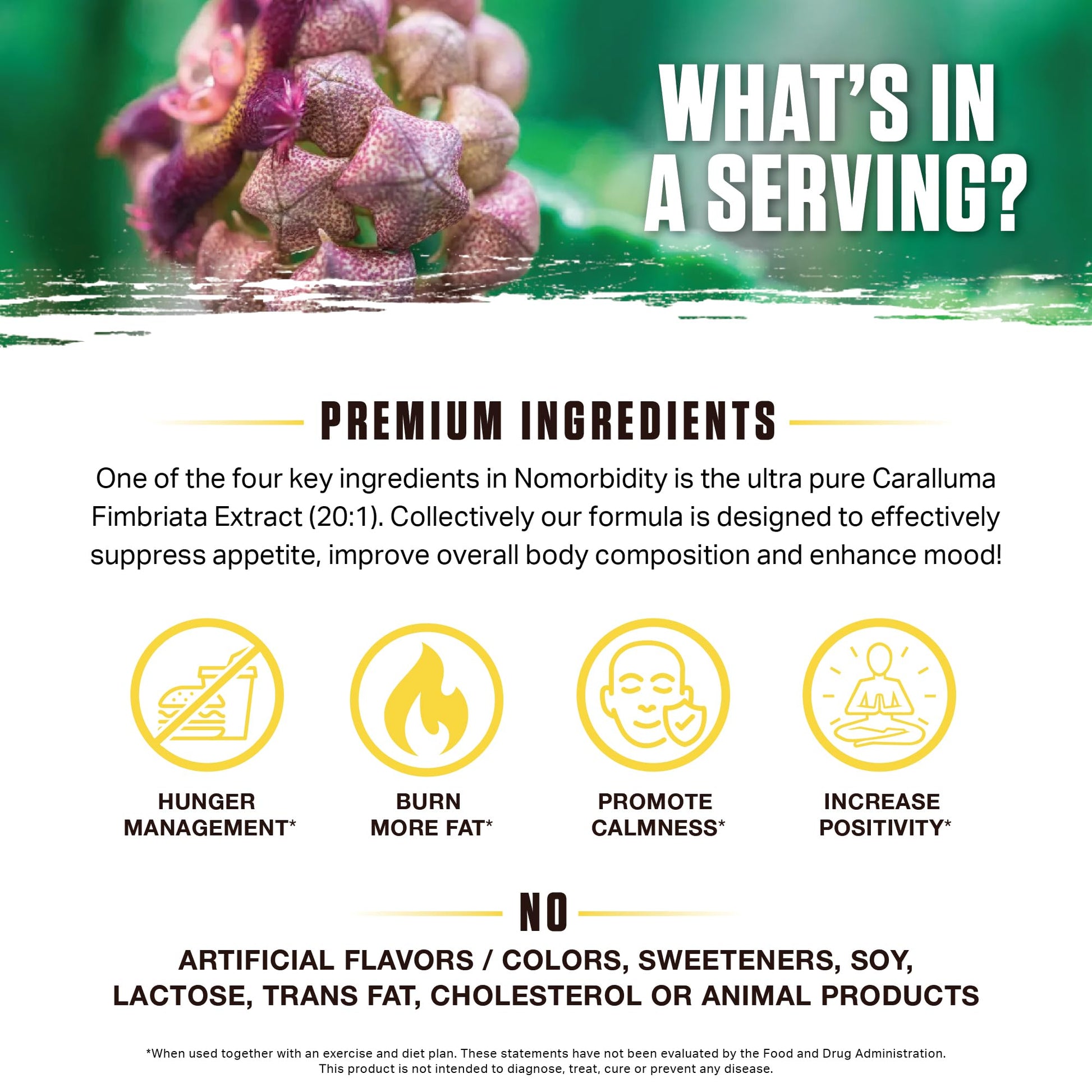 Ambrosia Nomorbidity Advanced Appetite Control & Hunger Management Formula Ambrosia