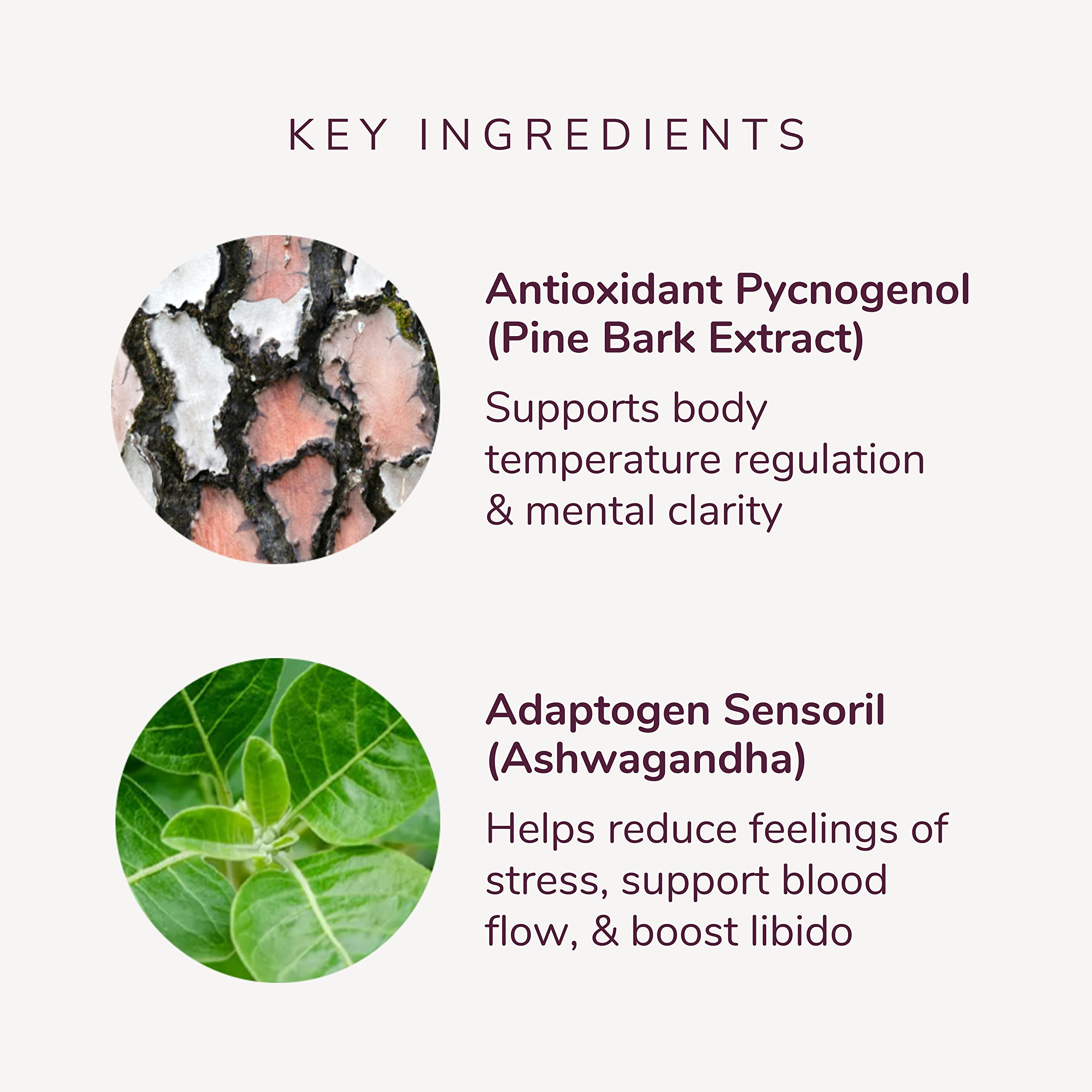 Kindra V Relief Serum & Core Supplement Bundle - Supports Intimate Dryness, Discomfort Kindra