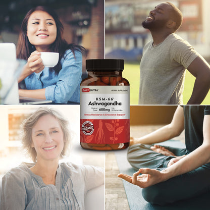 DailyNutra KSM-66 Ashwagandha 600mg Organic Root Extract - High Potency Supplement DailyNutra