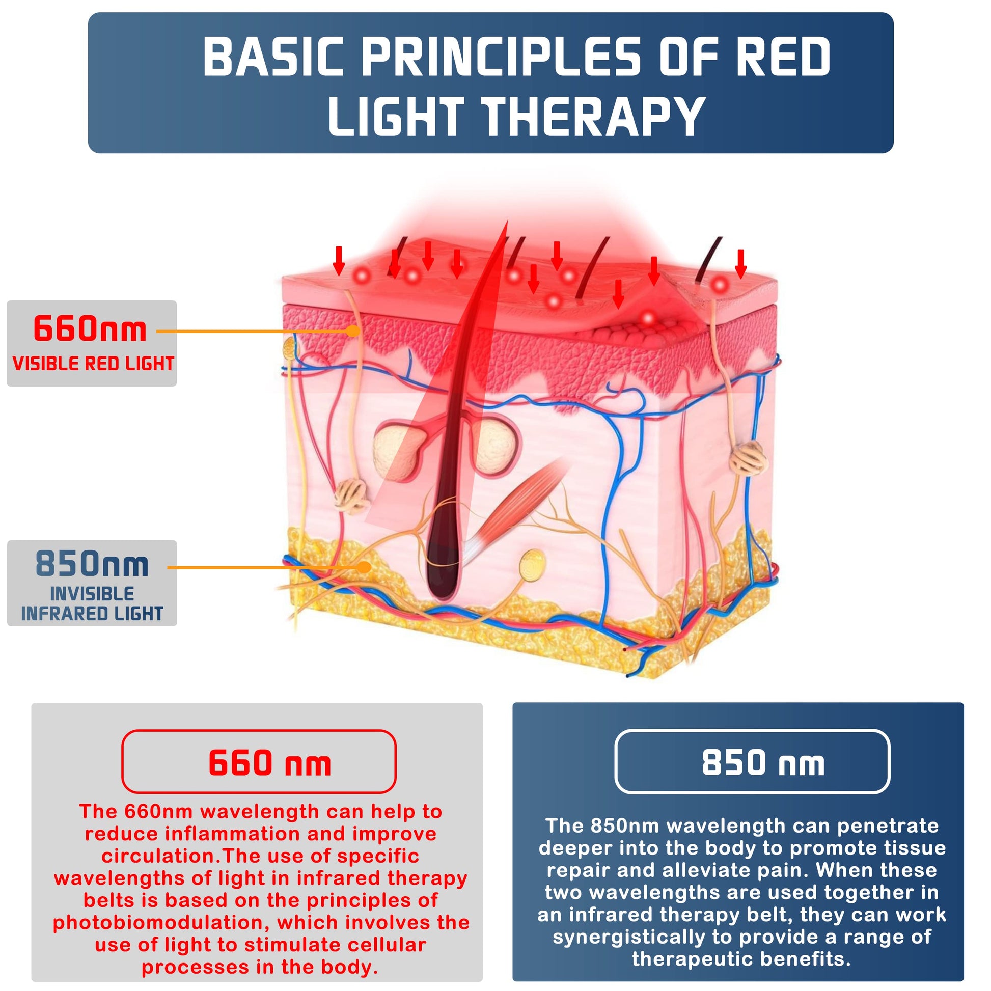 Infrared Red Light Therapy Belt:LED Lamp Vibration Near Body Pain Relief Device Wrap Red Fellibay