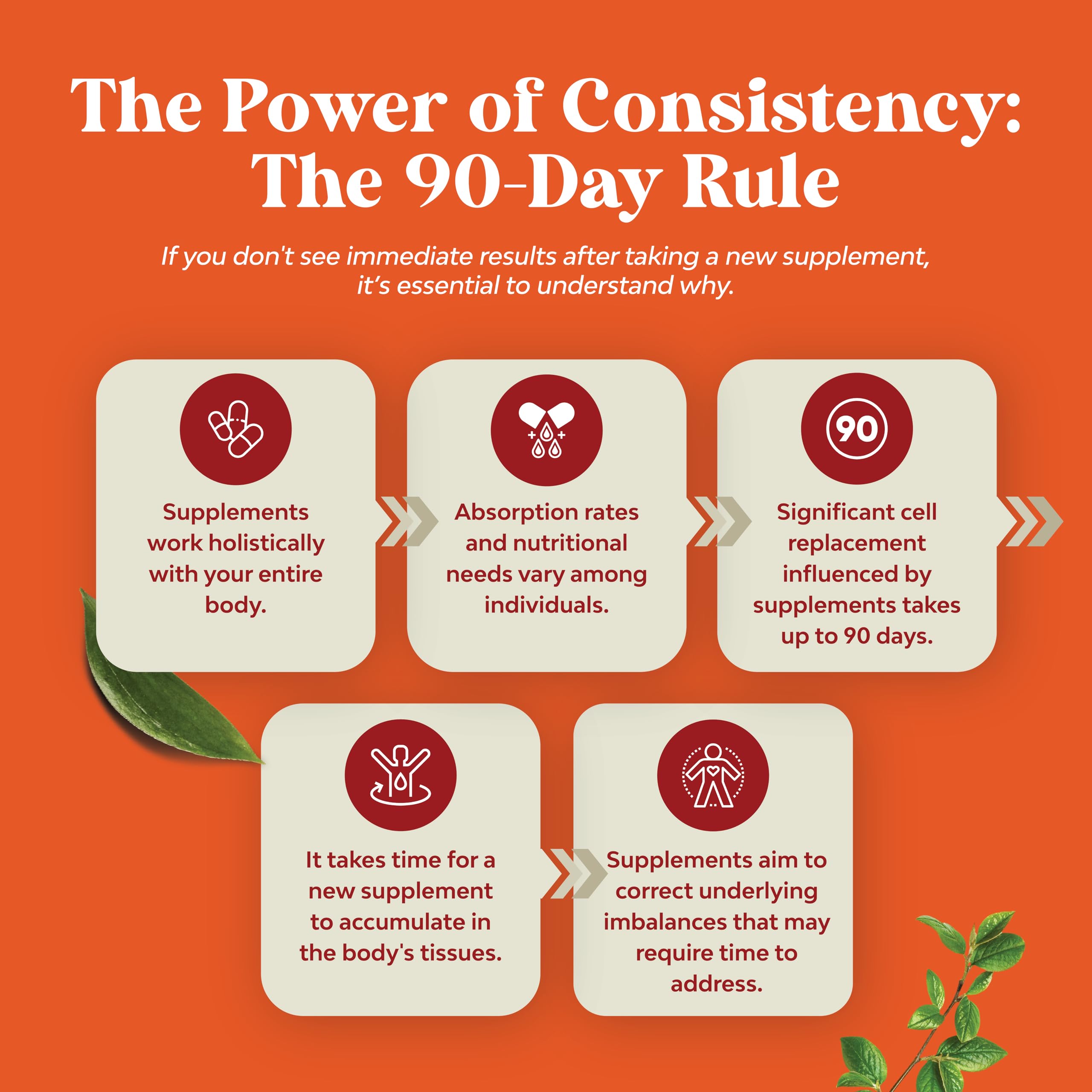 Antarctic Krill Oil 2000mg Softgels Per Serving - Omega 3 Krill Oil Supplement Natures Craft