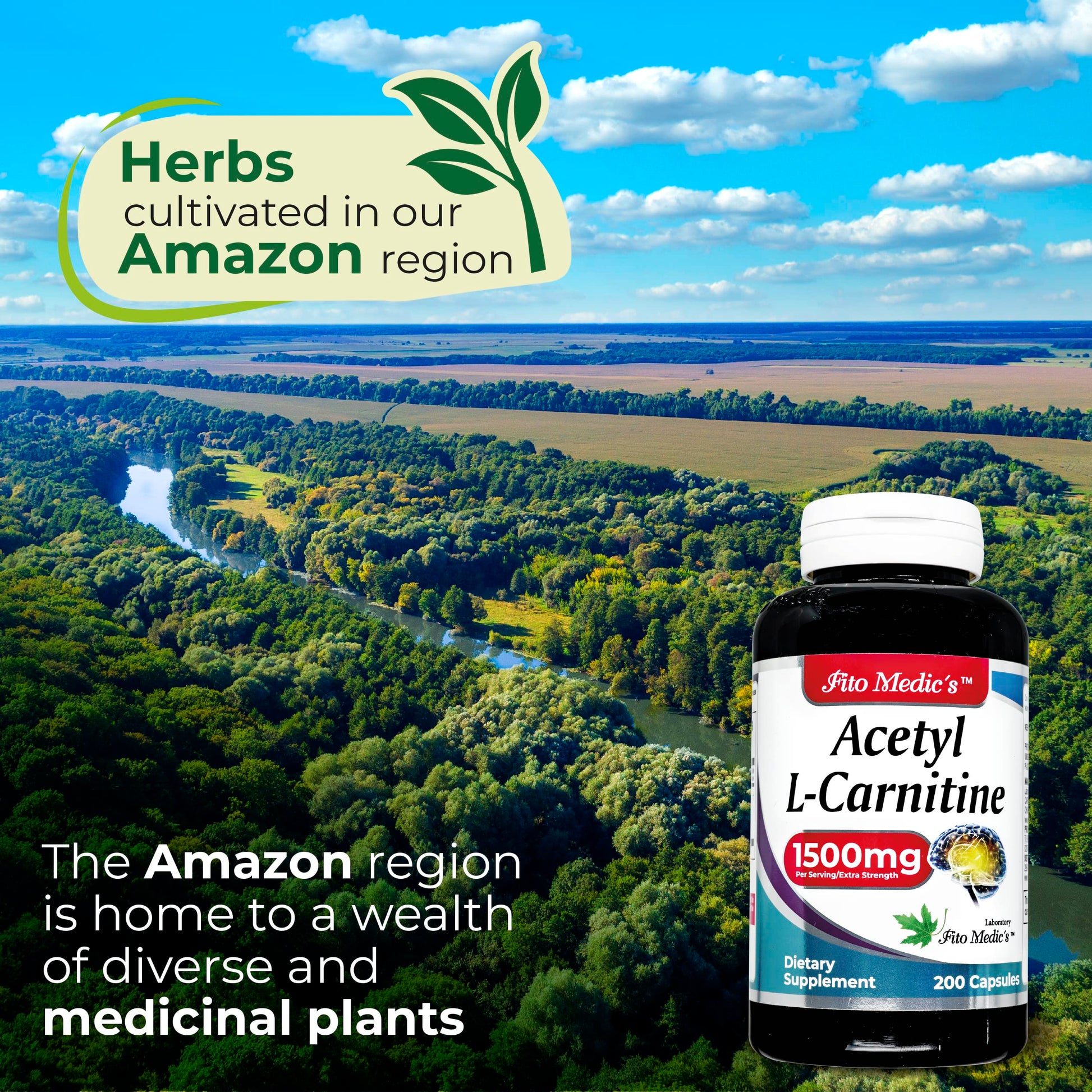 Lab - l carnitine - 1500 mg per Serving, 200 Capsules, l-carnitine - High Potency of - Acetyl FITO MEDIC'S