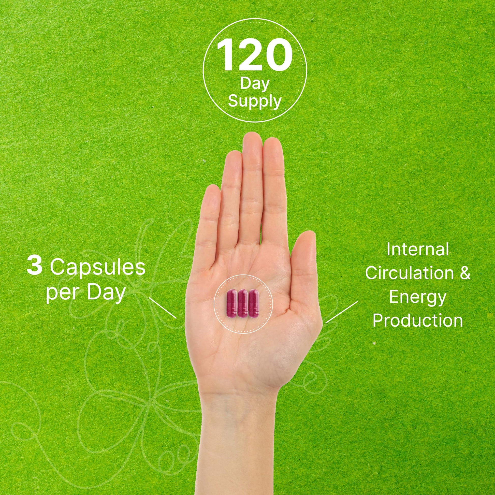 Beet Root Capsules 30000mg Per Serving, 360 Count, with Black Pepper Extract – Enhanced DEAL SUPPLEMENT