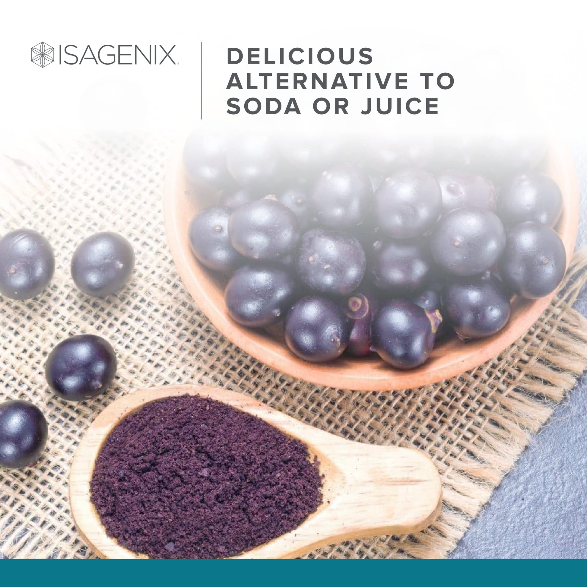 Isagenix Fruits - Phytonutrient & Superfruits Drink Mix - Health Support Supplement Isagenix